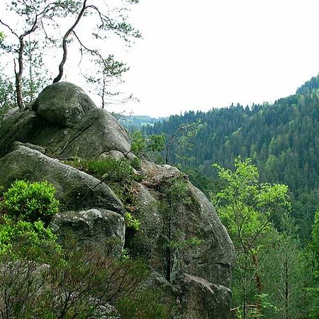Wandern Tennenbronn - Tischneck - Ruine Berneck