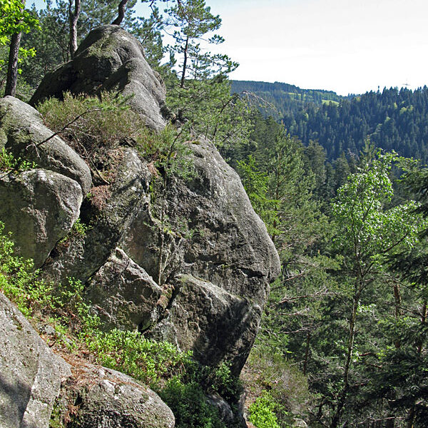 Wandern Tennenbronn - Tischneck - Ruine Berneck