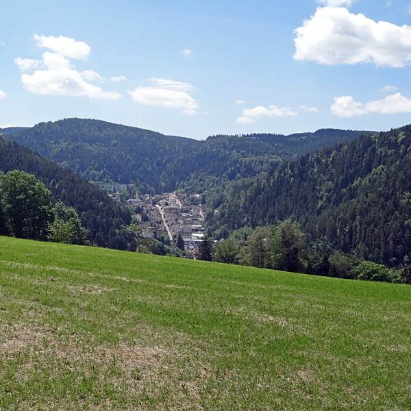 Triberg Schwarzwaldbahn Erlebnispfad