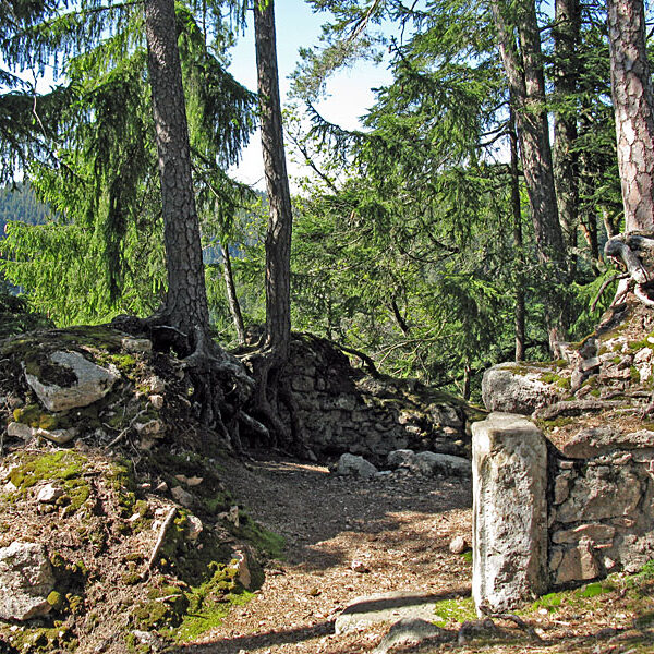 Wandern Tennenbronn - Tischneck - Ruine Berneck