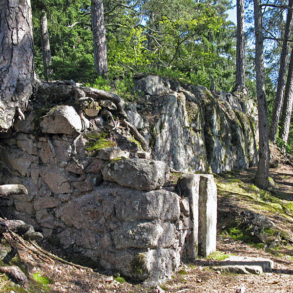 Wandern Tennenbronn - Tischneck - Ruine Berneck