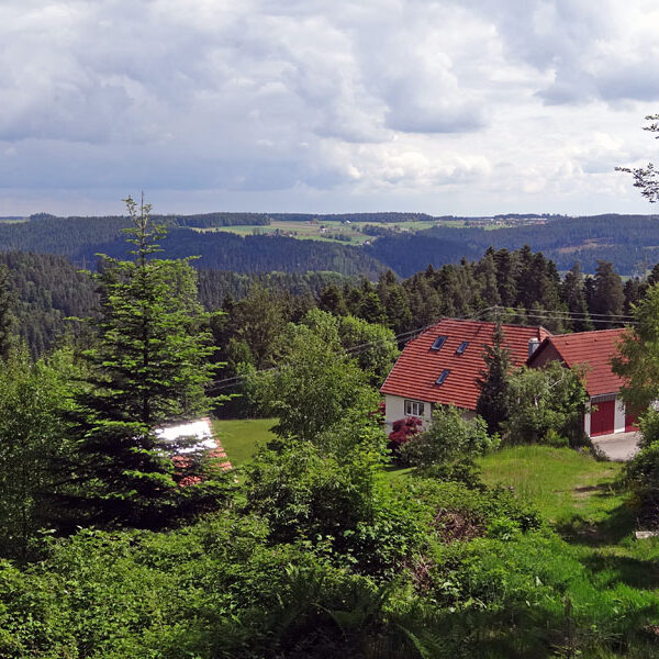 Lauterbacher Wandersteig