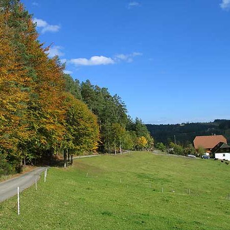 Wandern in Tennenbronn Mittelberg-Runde