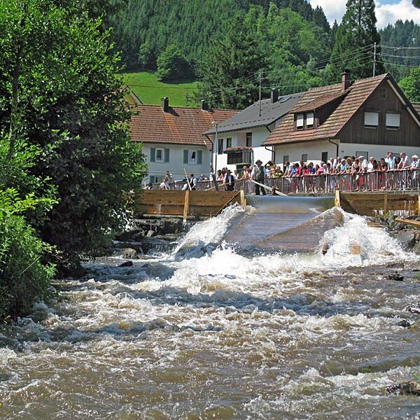 Die Flößer im Schwarzwald