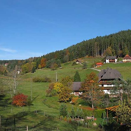 Wandern im Eichbach Tennenbronn