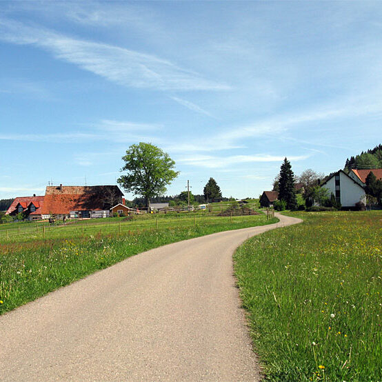 Wandern Tennenbronn - Tischneck - Ruine Berneck