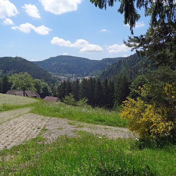 Triberg Schwarzwaldbahn Erlebnispfad