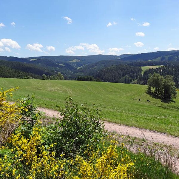 Triberg Schwarzwaldbahn Erlebnispfad