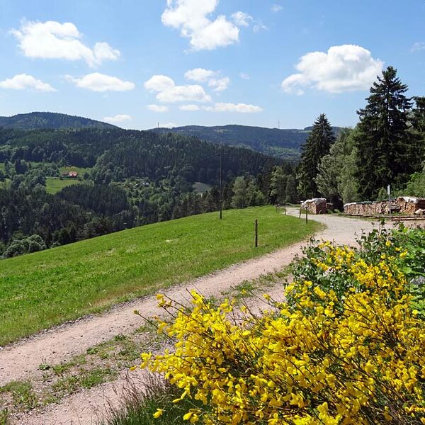 Triberg Schwarzwaldbahn Erlebnispfad