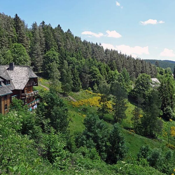 Triberg Schwarzwaldbahn Erlebnispfad