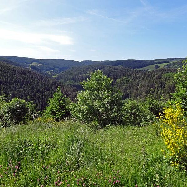 Triberg Schwarzwaldbahn Erlebnispfad