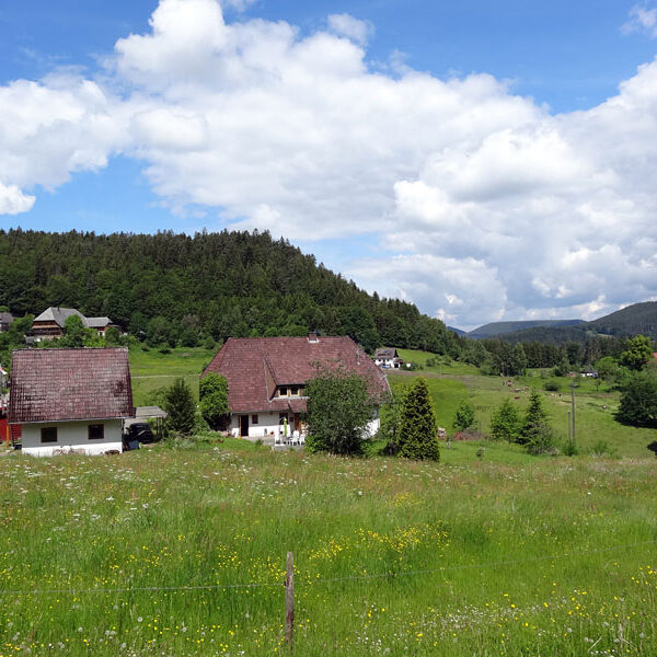 Lauterbacher Wandersteig