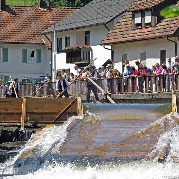 Die Flößer im Schwarzwald