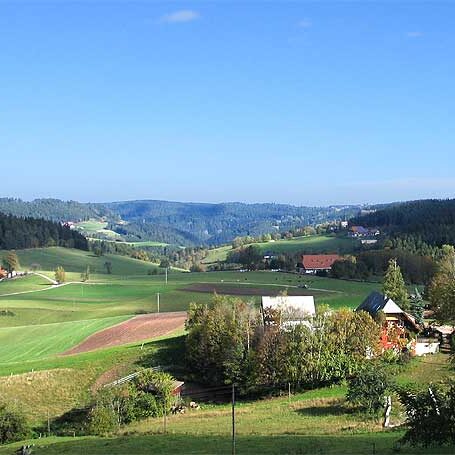 Wandern Tennenbronn - Buchenberg