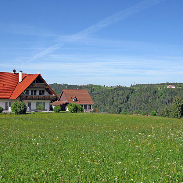 Wandern Tennenbronn - Tischneck - Ruine Berneck