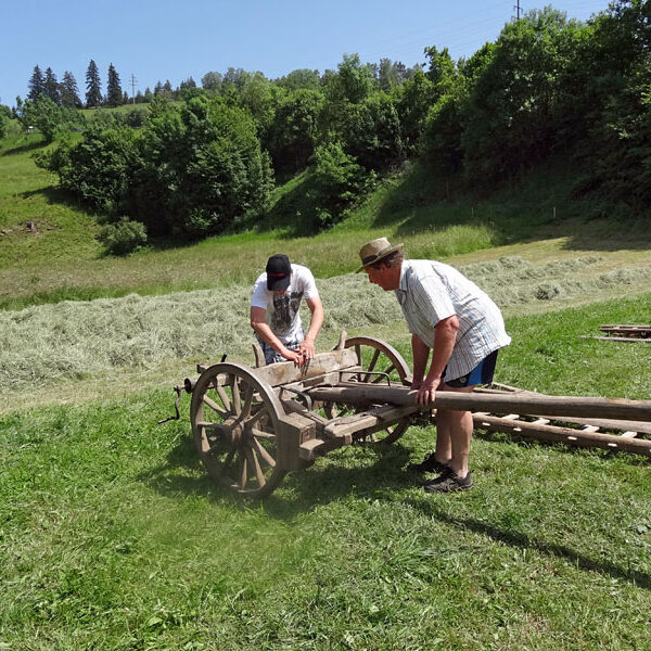 Leiterwagen aufbauen