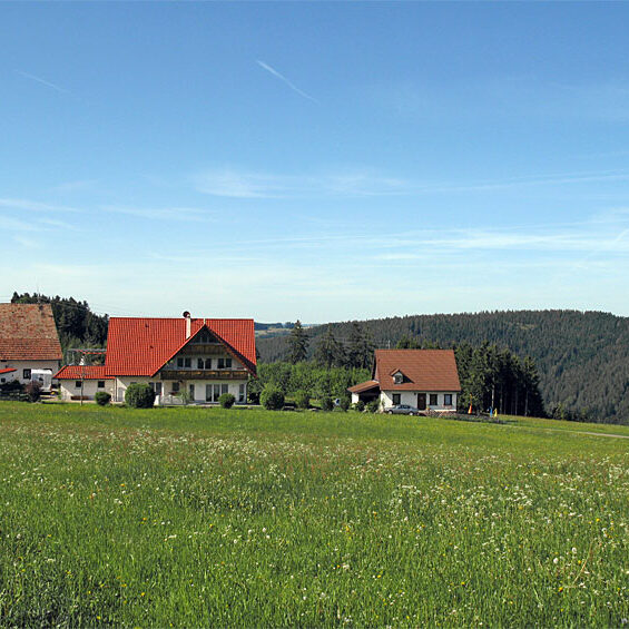 Wandern Tennenbronn - Tischneck - Ruine Berneck