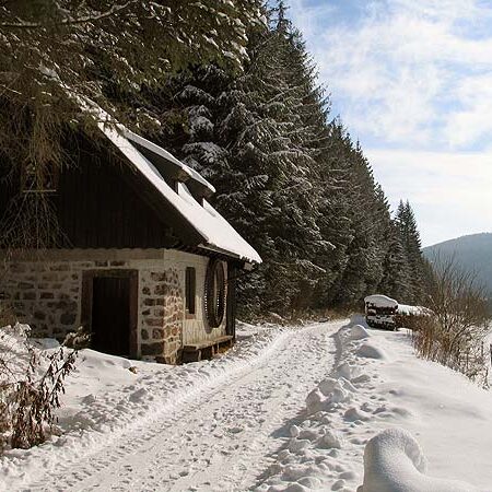 Wandern im Eichbach Tennenbronn