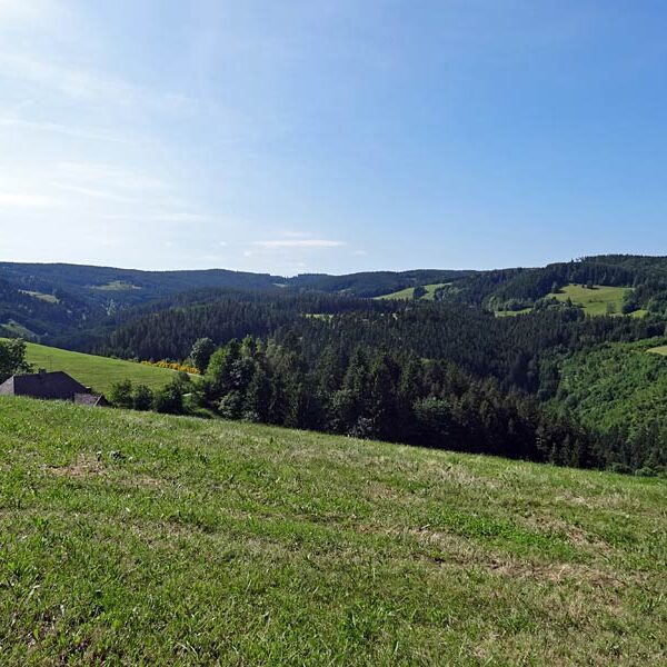 Triberg Schwarzwaldbahn Erlebnispfad