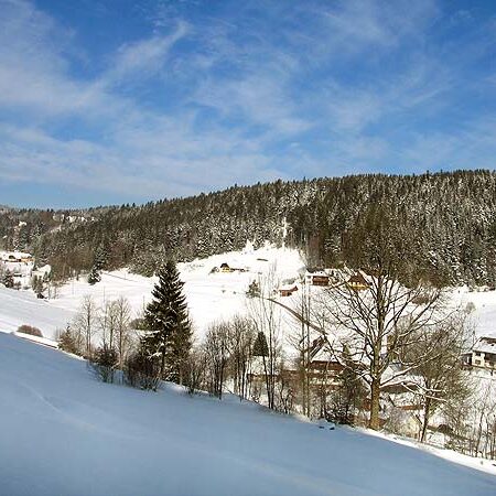 Wandern im Eichbach Tennenbronn