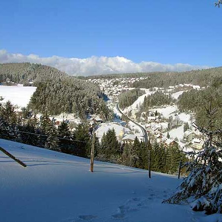 Wandern in Tennenbronn Mittelberg-Runde