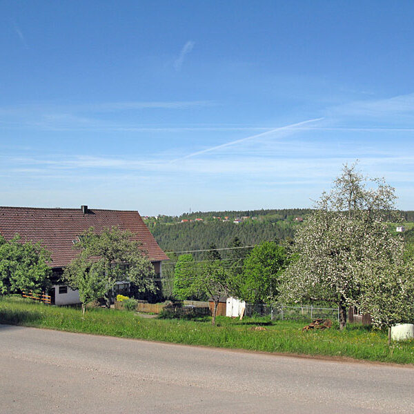 Wandern Tennenbronn - Tischneck - Ruine Berneck