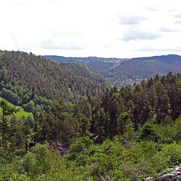 Lauterbacher Wandersteig