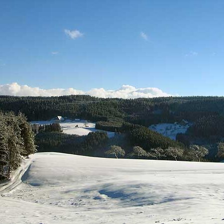 Wandern in Tennenbronn Mittelberg-Runde