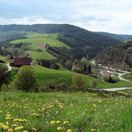 Wandern Tennenbronn - Buchenberg