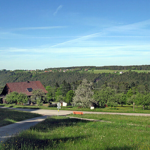 Wandern Tennenbronn - Tischneck - Ruine Berneck