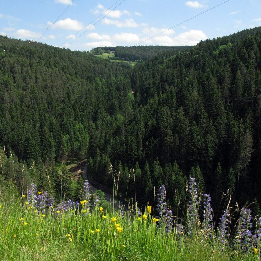 Käppelehof und Schlösslefelsen 10