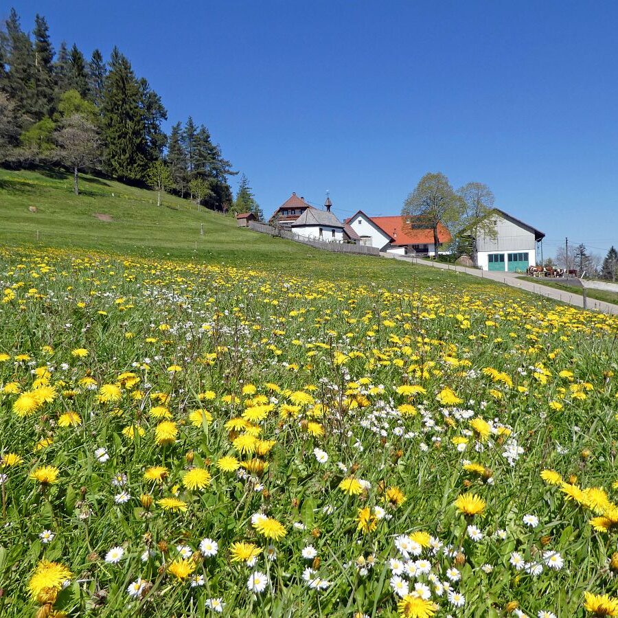 Käppelehof und Schlösslefelsen 2