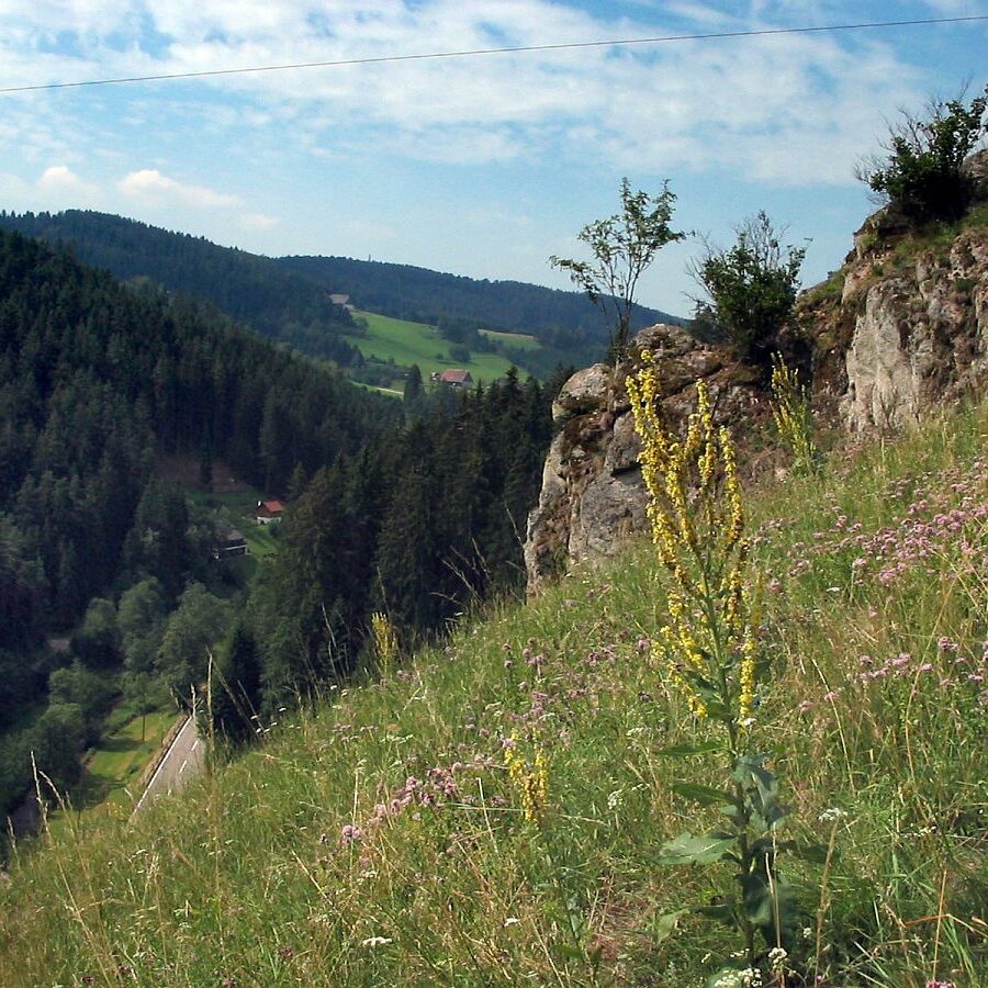 Käppelehof und Schlösslefelsen 21