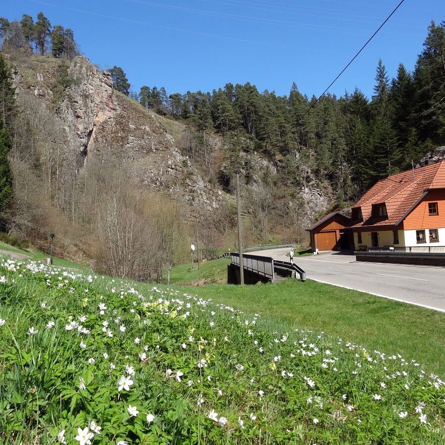 Käppelehof und Schlösslefelsen 5