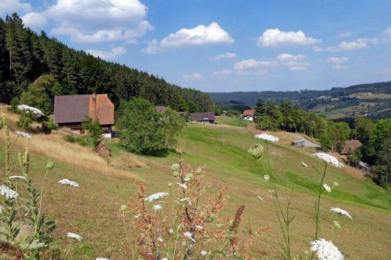 Mittelberg 21 Mittelberg 21