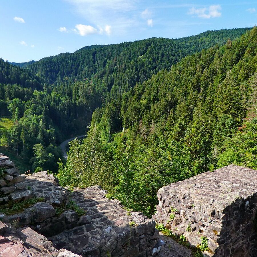 Ruine Falkenstein 10