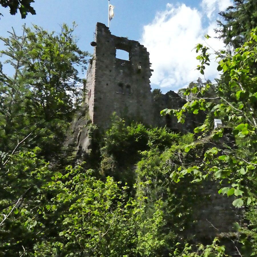 Ruine Falkenstein 11