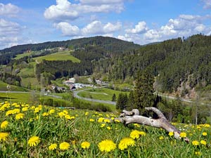Altenburg