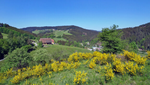 Rundflug über Tennenbronn - Altenburg