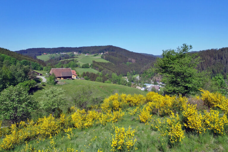 Rundflug über Tennenbronn – Altenburg Rundflug über Tennenbronn - Altenburg