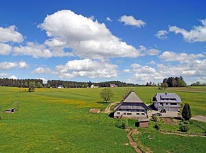 Auerhahn und Ecke