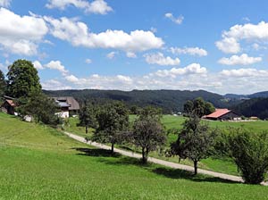 Auf dem Berg