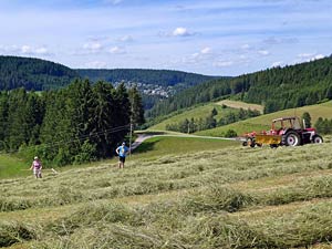Auf der Hub