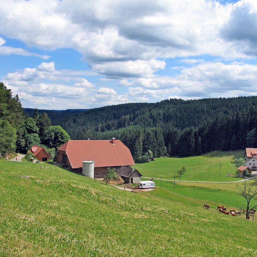 Gersbach 18