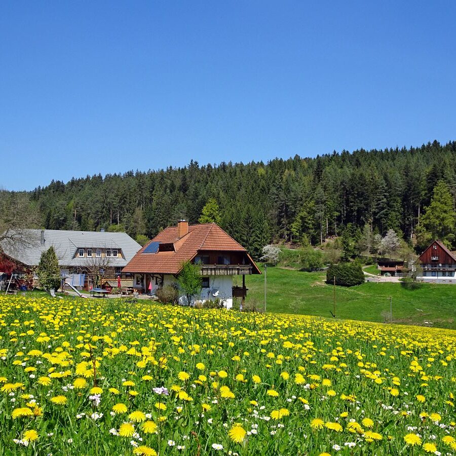 Gersbach 3