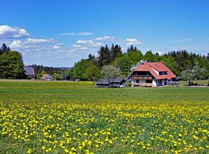 Hintere Ecke
