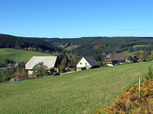 Kohlwald Felsen Leihwies