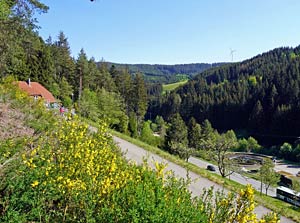 Leonberg