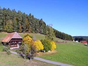 Linde und Lindehiesle