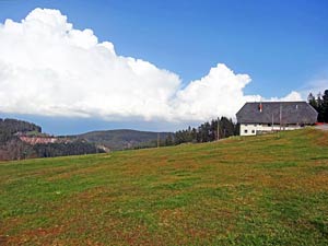 Mulp und Mulpenbühl